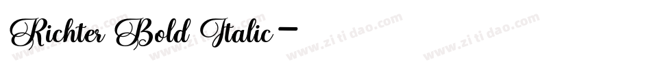 Richter Bold Italic字体转换